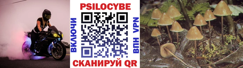 Псилоцибиновые грибы прущие грибы  наркошоп  Собинка 
